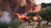 Ηλεία: Σε εξέλιξη δύο μεγάλα πύρινα μέτωπα στις περιοχές Χελιδόνι και Λάλα