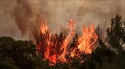 Κοντά στα σπίτια η φωτιά στη Δροσοπηγή