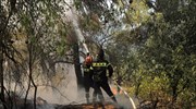 Πυρκαγιά καίει πευκοδάσος στους Πάδες της Κόνιτσας