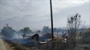 Καρδίτσα: Υπό έλεγχο δύο πυρκαγιές σε Καρδιτσομάγουλα και Γελάνθη