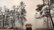 Μεσσηνία- Πυρκαγιά: Προβλήματα σε Μέλπεια και Βλαχόπουλο- Σημαντική η συμβολή των πολιτών
