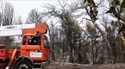 Πυρκαγιές: Ποιες περιοχές έχουν μείνει χωρίς ρεύμα