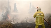 Θεσσαλονίκη: Σε εξέλιξη πυρκαγιά στην Καρδία του δήμου Θέρμης