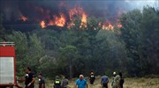 Φθιώτιδα: Πυρκαγιά σε δασική έκταση στον Θεολόγο