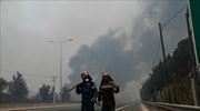 Ομάδα πυροσβεστών στέλνει το Ισραήλ για την αντιμετώπιση των πυρκαγιών
