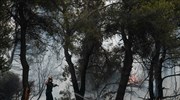 ΕΟ ΝΔ: Πρόταση ψηφίσματος για ενεργοποίηση Ταμείου Αλληλεγγύης για τις πυρκαγιές σε Ελλάδα-Ιταλία