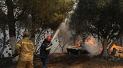 Με υδροφόρες συνδράμει ο δήμος Πειραιά στην κατάσβεση των πυρκαγιών