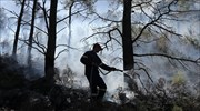 Νέα φωτιά ξέσπασε στο Σούνιο