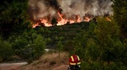 Φλέγεται η Αττική: Έφτασε στον Άγιο Στέφανο η φωτιά - Πλησιάζει και στην Σταμάτα