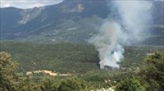 Ιωάννινα: Σε εξέλιξη φωτιές στην Ήπειρο