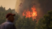 Φωτιά στον Θεολόγο: Οι φλόγες απειλούν μοναστήρι στη Μαλεσίνα