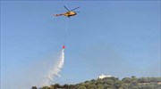 Ηράκλειο: Νέα φωτιά στις Γούρνες - Επιχειρούν επίγεια και εναέρια για την κατάσβεσή της