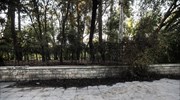 Δύο απόπειρες εμπρησμού στο Πεδίον του Άρεως - Συνελήφθη μια γυναίκα