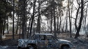 ΕΜΠ: Υποστήριξη στους πληγέντες των πυρκαγιών ύψους 40.000 ευρώ