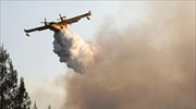 Μαλεσίνα: Σταμάτησαν τις φλόγες λίγο πριν το Μοναστήρι του Αγίου Γεωργίου