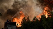 Civil protection authorities in Greece: 56 wildfires in progress around the country on Fri.