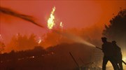 Εύβοια: Νέο μέτωπο προς Αιδηψό - Εκκενώσεις σε μοναστήρι και κατασκήνωση - Στις φλόγες Μετόχι και Σπαθάρι