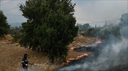 Αντιπεριφερειάρχης Αττικής: Εκκληση για εκκένωση σε Βαρυμπόμπη-Θρακομακεδόνες