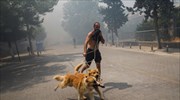 Πύρινος εφιάλτης χωρίς τέλος στην Αττική