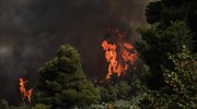 Εύβοια: Αγωνία για Κρυονερίτη- Σήμια- Μηλιά- Αγδίνες - Αναζωπυρώσεις παντού