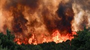 ΓΓΠΠ: Πολύ υψηλός κίνδυνος πυρκαγιάς αύριο για 5 Περιφέρειες της χώρας