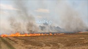 Κιλκίς: Τέσσερις φωτιές ξέσπασαν το μεσημέρι της Κυριακής σε αγροτικές εκτάσεις