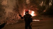 Εύβοια: Μάχη στο Πευκί για να «κρατήσουν» τη φωτιά - Κάηκαν σπίτια σε Γούβες, Γερακιού, Γαλατσώνα