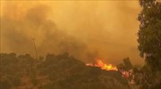 Στην ορεινή Δεσφίνα καίει το μέτωπο της πυρκαγιάς στη Μάνη