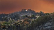 Περισσότερα από 650.000 στρέμματα οι καμένες εκτάσεις σε Εύβοια, Αττική και Λακωνία