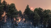 Αυξάνονται ο πυρκαγιές στη Μεσόγειο όσο «καίει» ο καύσωνας