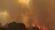 Ιταλία-πυρκαγιές: Εθνική κινητοποίηση της ΠΠ για την κατάσβεση των πυρκαγιών στην Καλαβρία