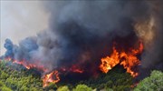 Μάχη με τις αναζωπυρώσεις στην Ηλεία