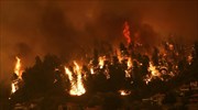 Εύβοια: Μήνυμα του 112 για εκκένωση της περιοχής Αβγαριά