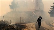 Αλγερία: 25 άνδρες του στρατού έχασαν τη ζωή τους στις πυρκαγιές