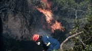Τρεις συλλήψεις για εμπρησμούς από την Πυροσβεστική