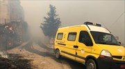Αλγερία: Τουλάχιστον 42 οι νεκροί στις πυρκαγιές που σαρώνουν τον βορρά της χώρας