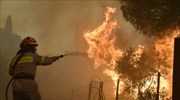 ΓΕΩΤΕΕ: Προτάσεις και δράσεις για την πρόληψη και αντιμετώπιση πυρκαγιών
