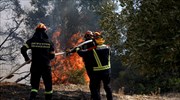Συνεχίζουν να επιχειρούν οι πυροσβεστικές δυνάμεις στην Ανατολική Μάνη