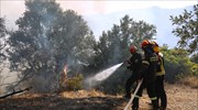 Πυροσβεστική: 63 δασικές πυρκαγιές το τελευταίο 24ωρο