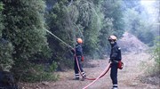 Υπό μερικό έλεγχο η πυρκαγιά στην Τανάγρα Βοιωτίας