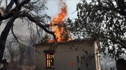 Αστεροσκοπείο Αθηνών: 465.820 τα καμένα στρέμματα στη Β. Εύβοια -  Δάση τα 192.700