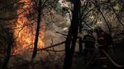 Νύχτα φωτιάς: Διπλή εστία στο Όρος Πατέρα - Με κομμένη την ανάσα στα Βίλια