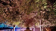 Νυχτερινή εμπειρία στο πάρκο Serravles