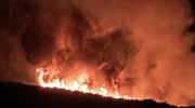 Περιφέρεια Αττικής: Ολονύχτια μάχη με τις φλόγες σε Κερατέα και Βίλια- Μηχανήματα και δεκάδες εθελοντές