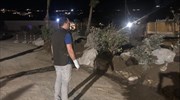 Συνελλήφθη ο δήμαρχος Μυκόνου γιατί γκρέμισε παράνομα κτίσματα