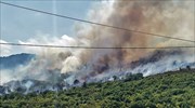 Καβάλα: Υπό έλεγχο η πυρκαγιά στου Αντιφιλίππους - Επαγρύπνηση για  αναζωπυρώσεις