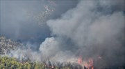 Στην κορυφογραμμή του όρους Πατέρα έφτασαν οι φλόγες