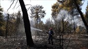 Πυρκαγιές: Σε εξέλιξη αλλά με βελτιωμένη η εικόνα στα Βίλια- Αναζωπυρώσεις στο Λαύριο