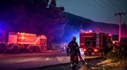 Νύχτα αγωνίας κι απόψε στα Βίλια -  Συνεχής η μάχη για να σωθεί ο οικισμός