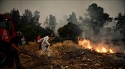 Βίλια: Σε πλήρη εξέλιξη η πυρκαγιά- Μάχη κοντά στους οικισμούς Οινόη και Πανόραμα